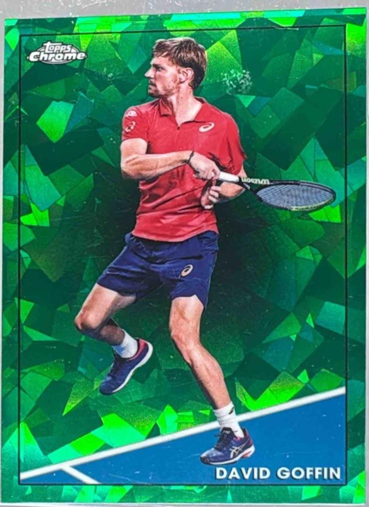David Goffin [Green] #26