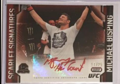 Michael Bisping #SSI-MB