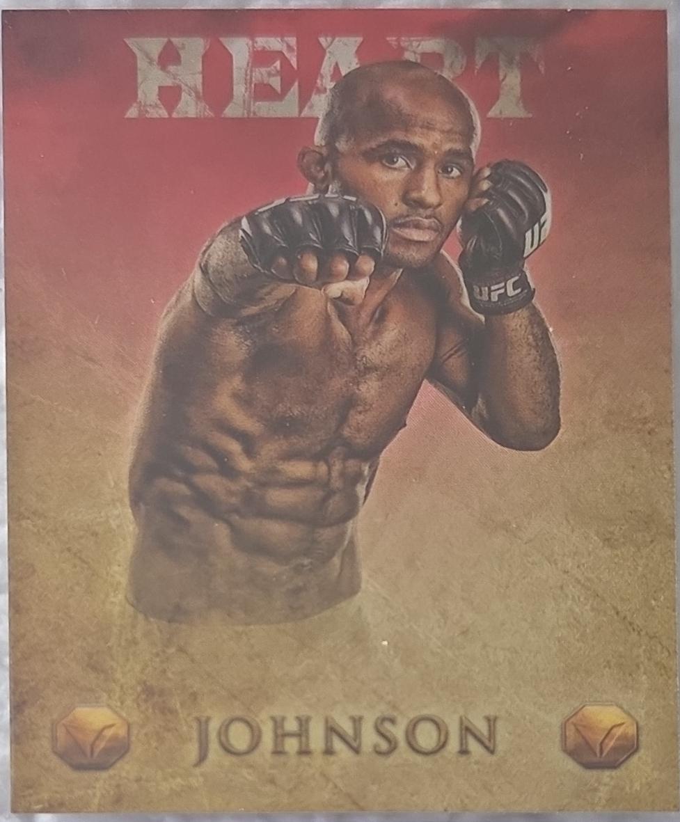 Demetrious Johnson [Heart] #V-3