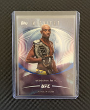 Anderson Silva #3