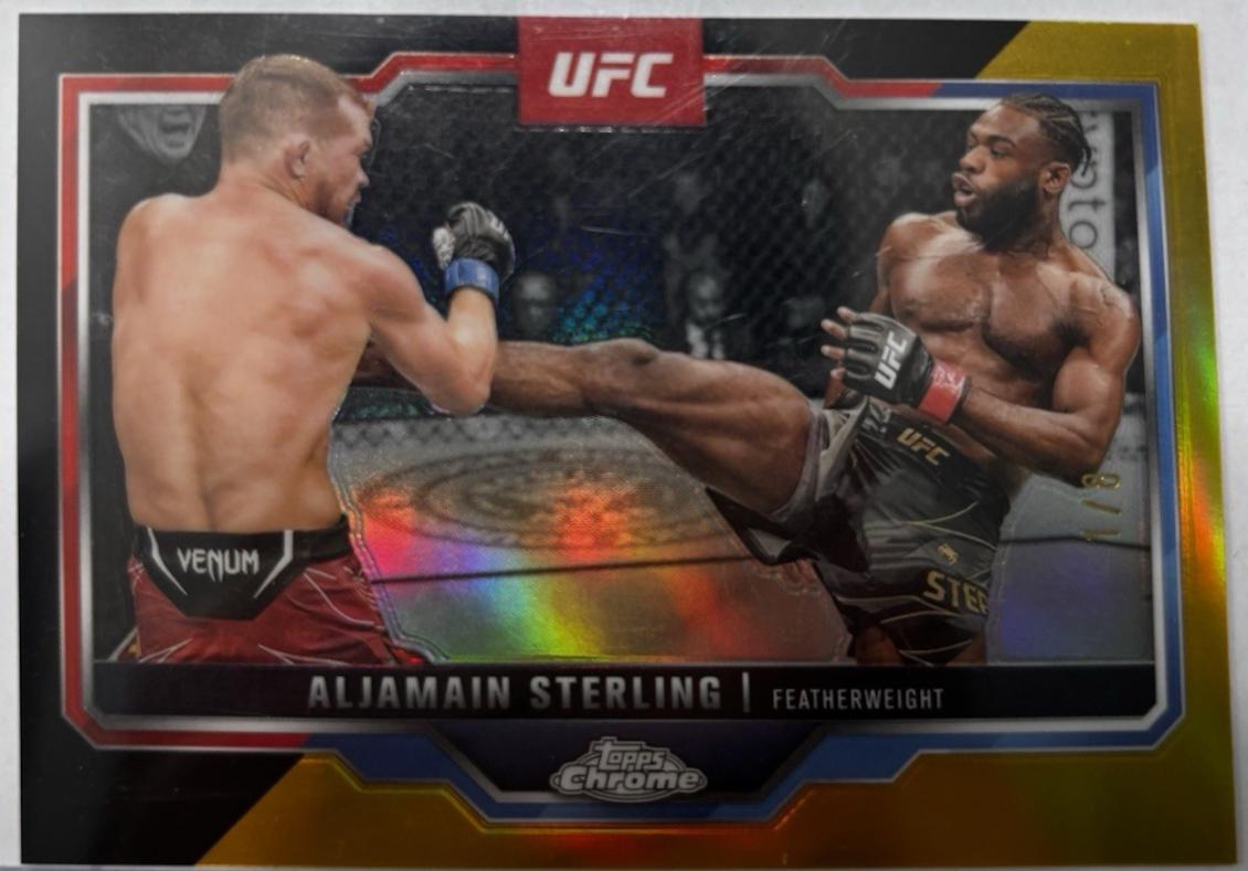 Aljamain Sterling [OctaFractor] #64