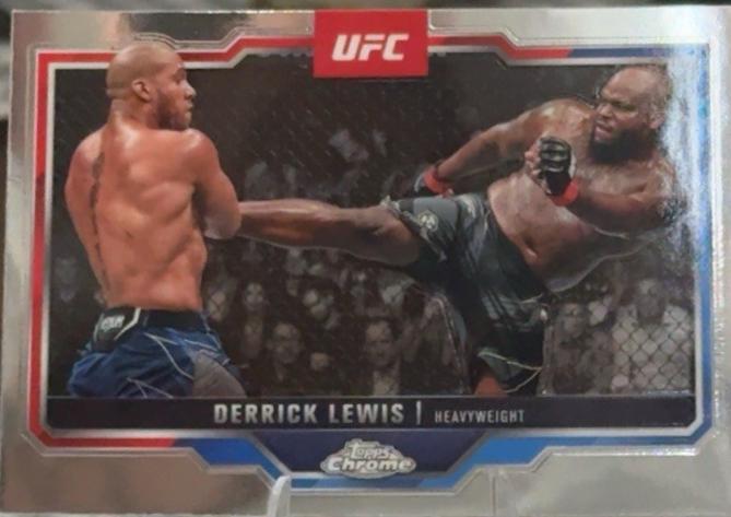 Derrick Lewis #104