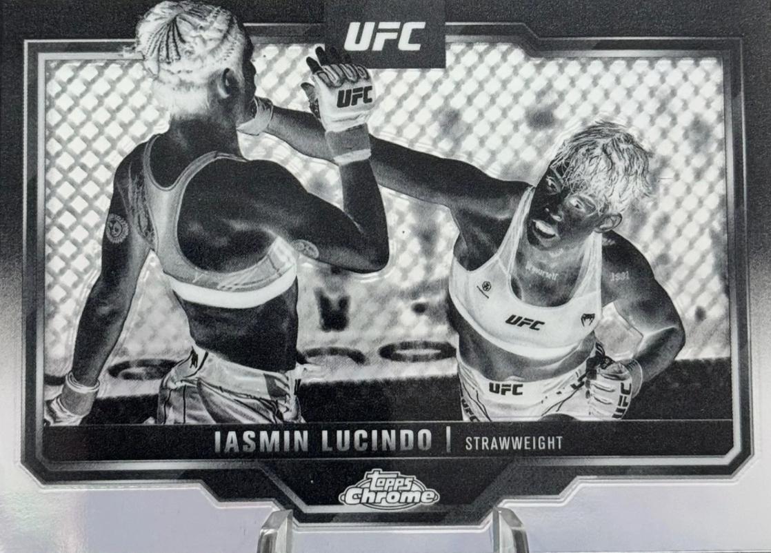 Iasmin Lucindo [Negative Refractor] #130