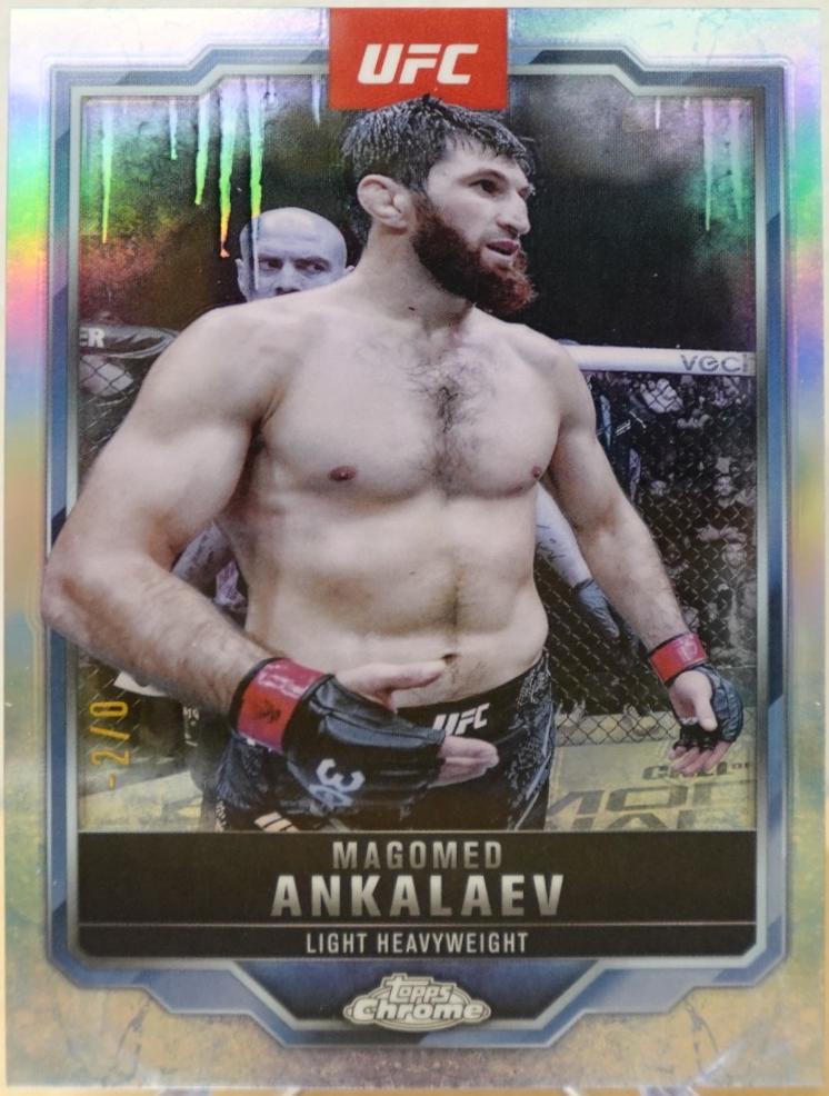 Magomed Ankalaev [FrozenFractor] #21