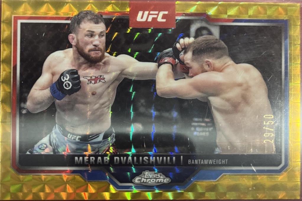 Merab Dvalishvili [Gold Geometric Refractor] #118