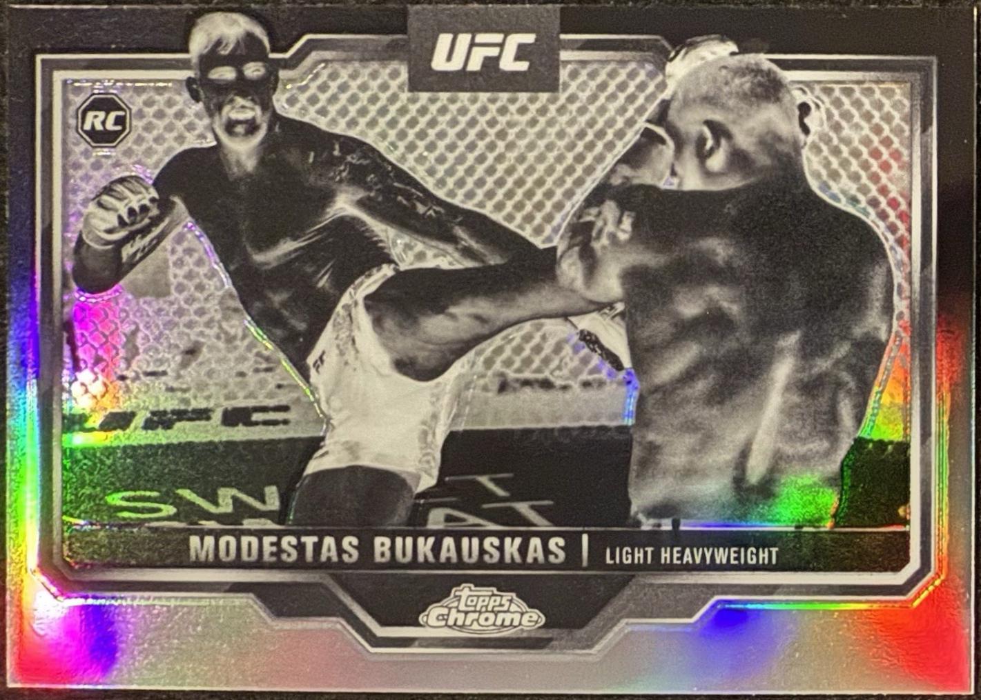 Modestas Bukauskas [Negative Refractor] #8