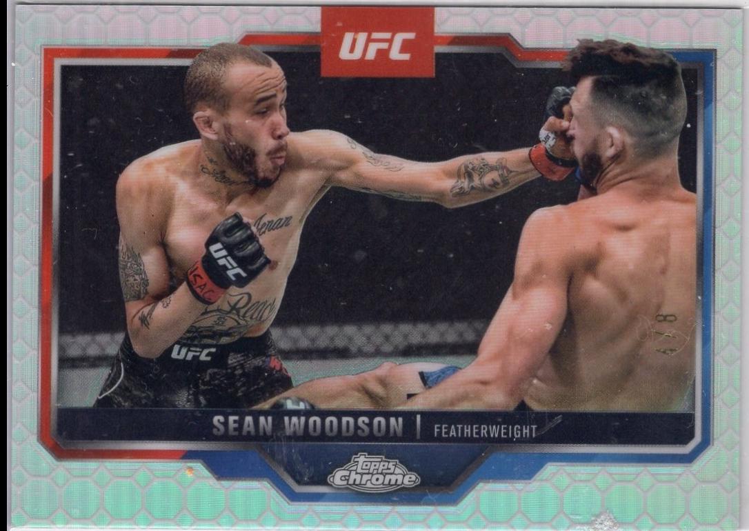 Sean Woodson [OctaFractor] #87