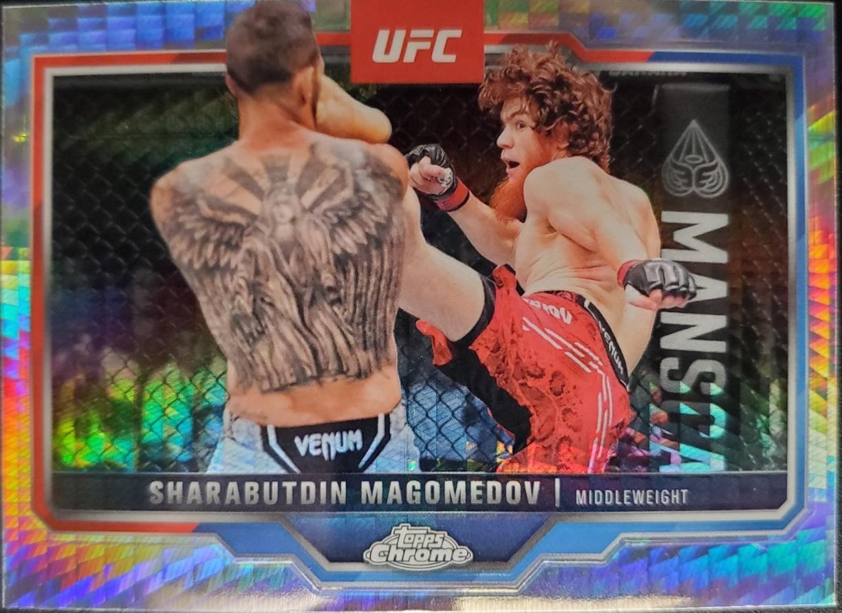 Sharabutdin Magomedov #12