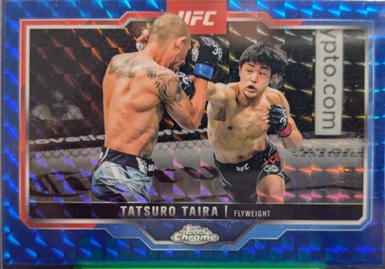 Tatsuro Taira [Blue Geometric Refractor] #190