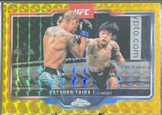 Tatsuro Taira [Gold Geometric Refractor] #190
