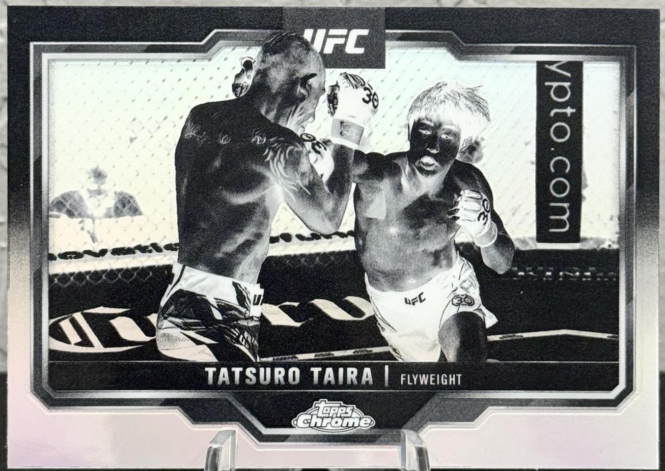 Tatsuro Taira [Negative Refractor] #190