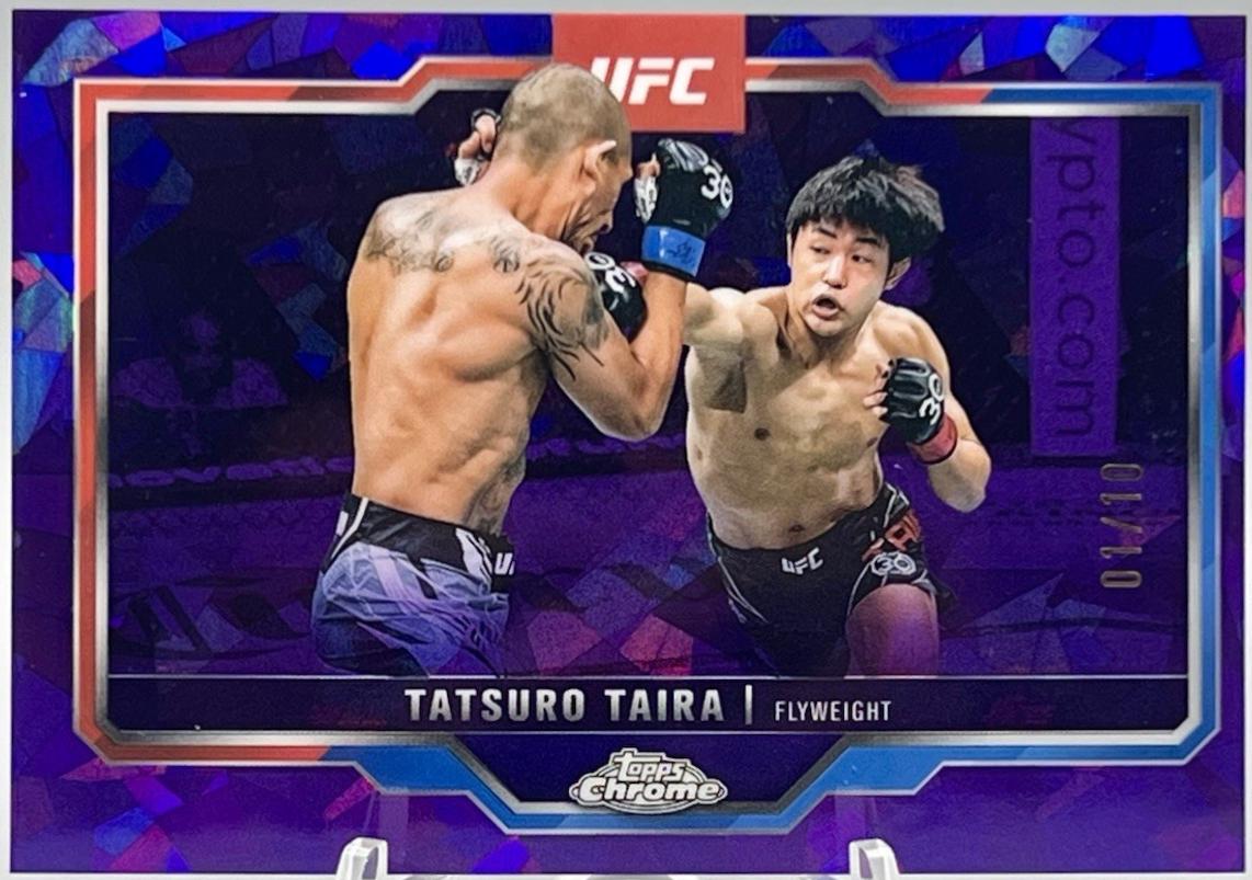 Tatsuro Taira [Purple Geometric Refractor] #190