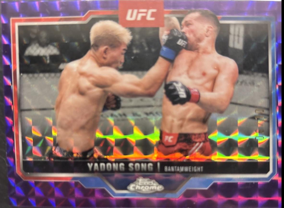 Yadong Song [Purple Geometric Refractor] #38
