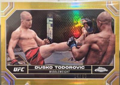 Dusko Todorovic [Gold Refractor] #63