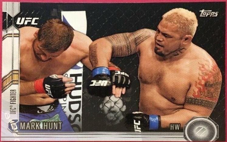 Mark Hunt #107