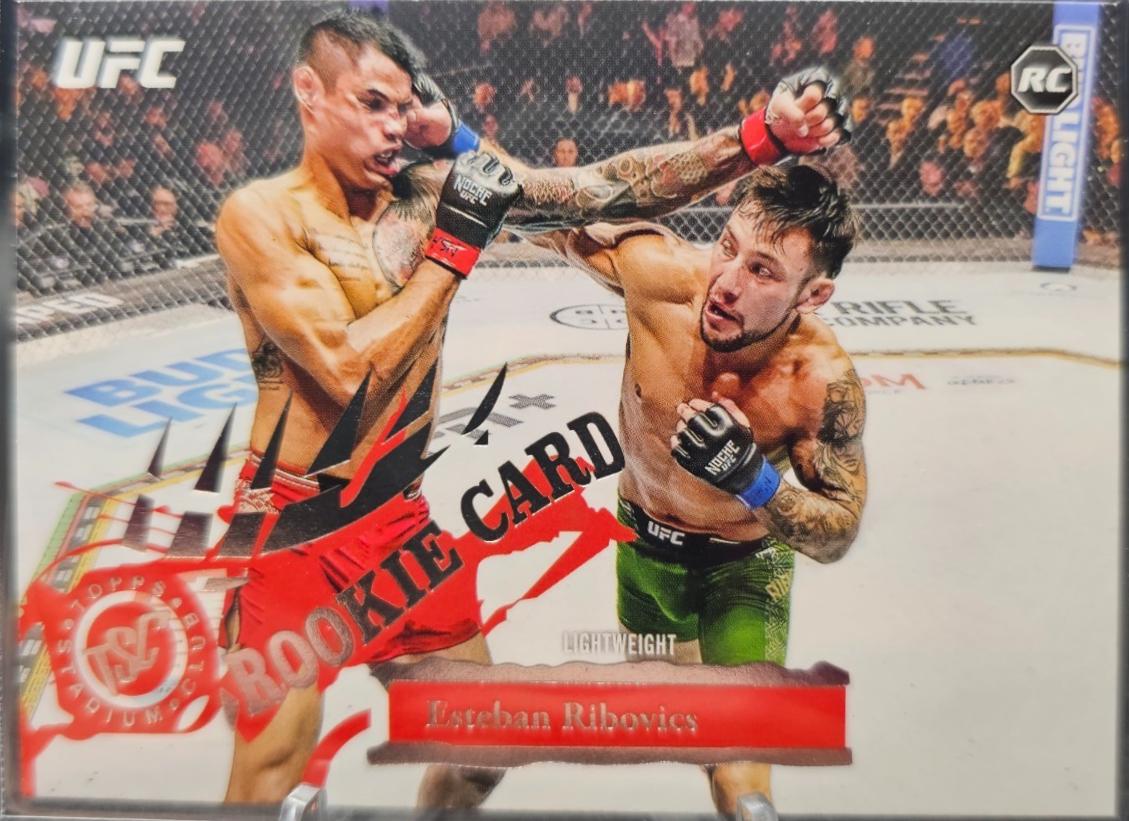 Esteban Ribovics [Rookie Design Variation] #288