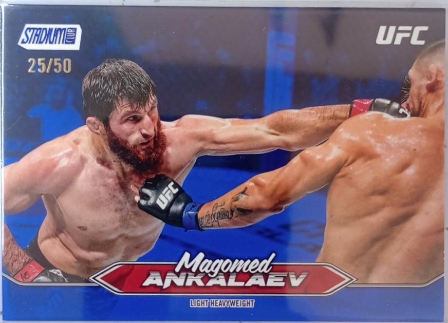 Magomed Ankalaev [Blue] #177