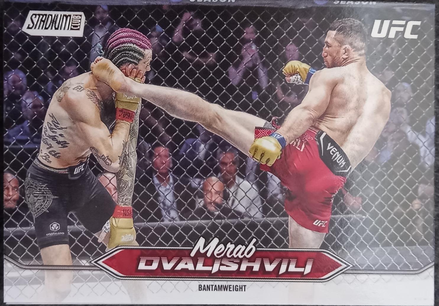 Merab Dvalishvili #145