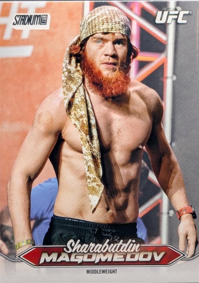 Sharabutdin Magomedov [Image Variation] #243