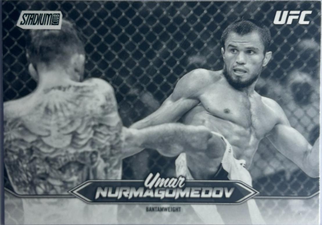Umar Nurmagomedov [Black White] #137