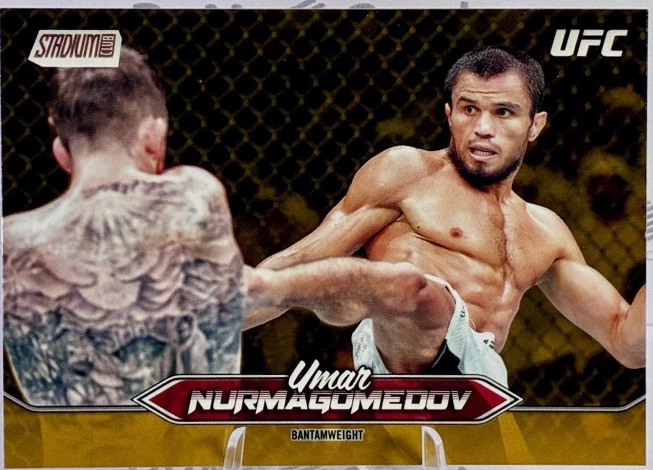 Umar Nurmagomedov [Gold] #137