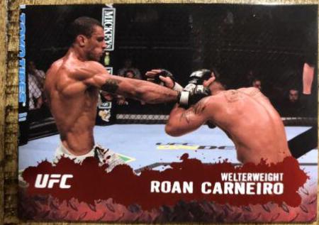 Roan Carneiro [Ruby] #17