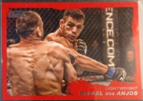 Rafael dos Anjos [Ruby] #45