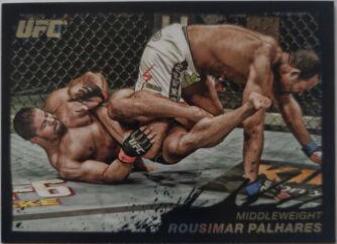 Rousimar Palhares [Onyx] #105