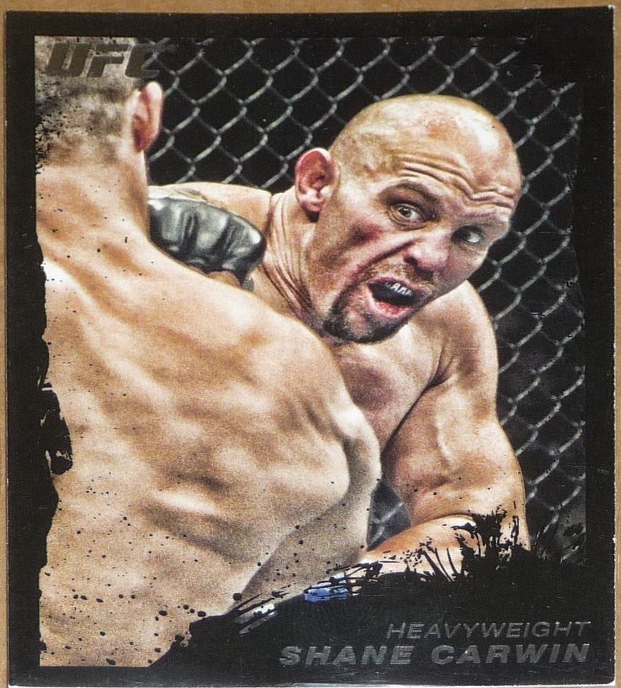 Shane Carwin [Onyx] #6