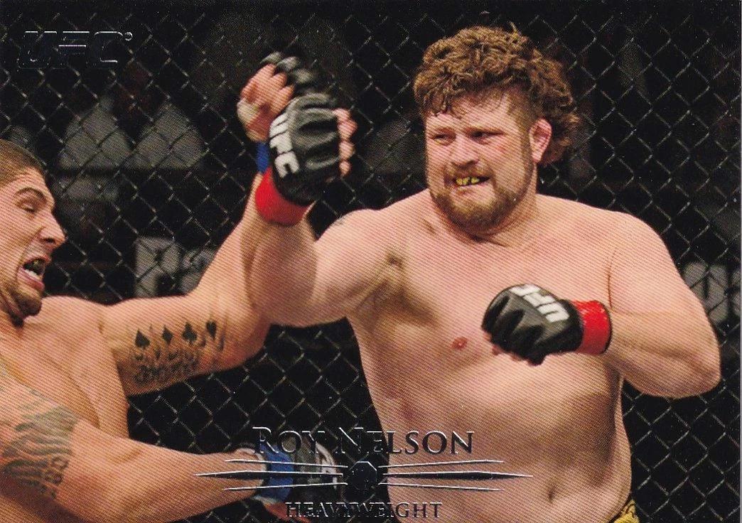 Roy Nelson #87