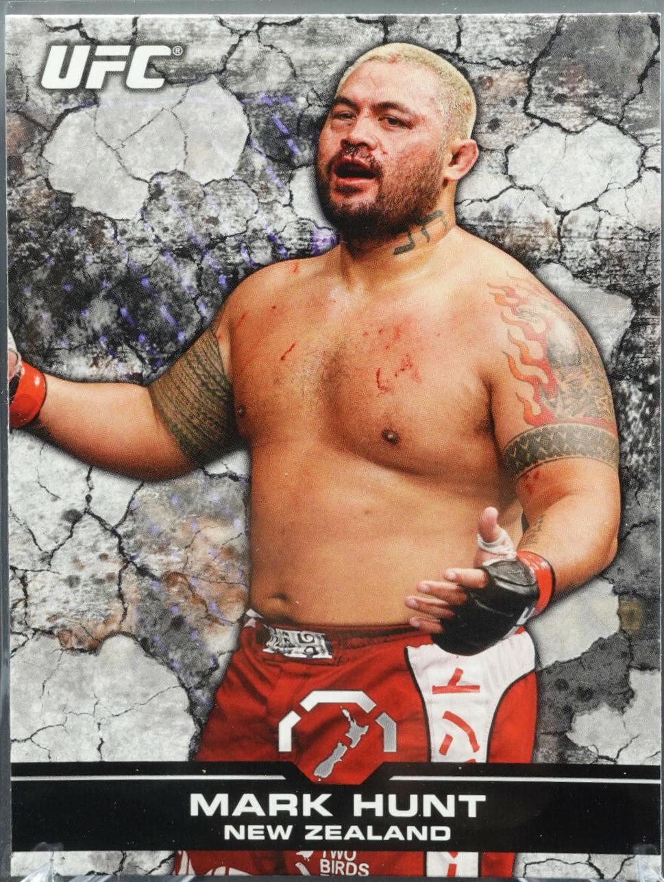 Mark Hunt #133