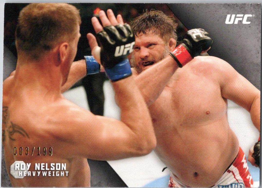 Roy Nelson [Silver] #30
