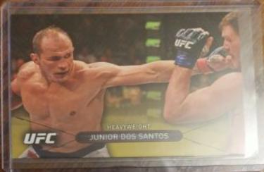 Junior dos Santos #3
