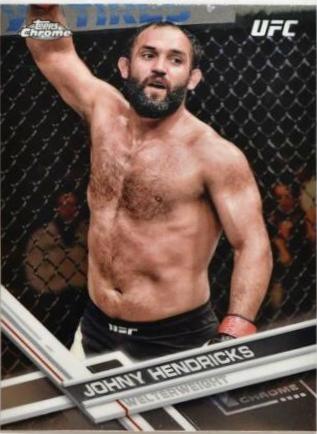 Johny Hendricks #82
