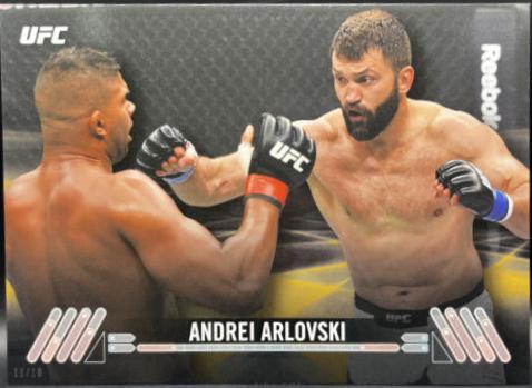 Andrei Arlovski #80
