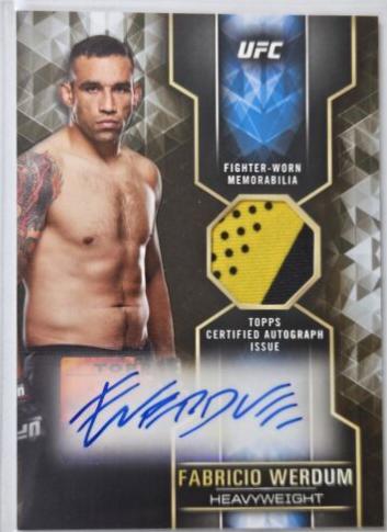 Fabricio Werdum #KAR-FW