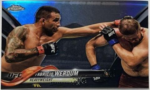 Fabricio Werdum [Black] #29