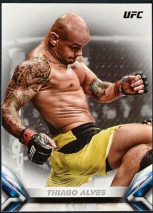 Thiago Alves #65