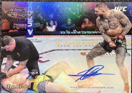 Tyson Pedro #DSS-TP