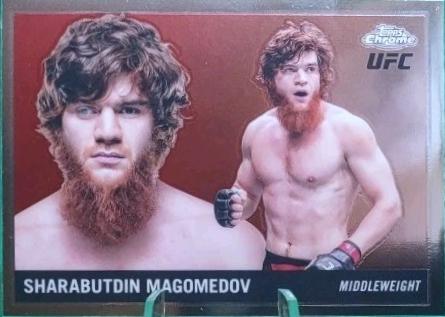Sharabutdin Magomedov #55T-19