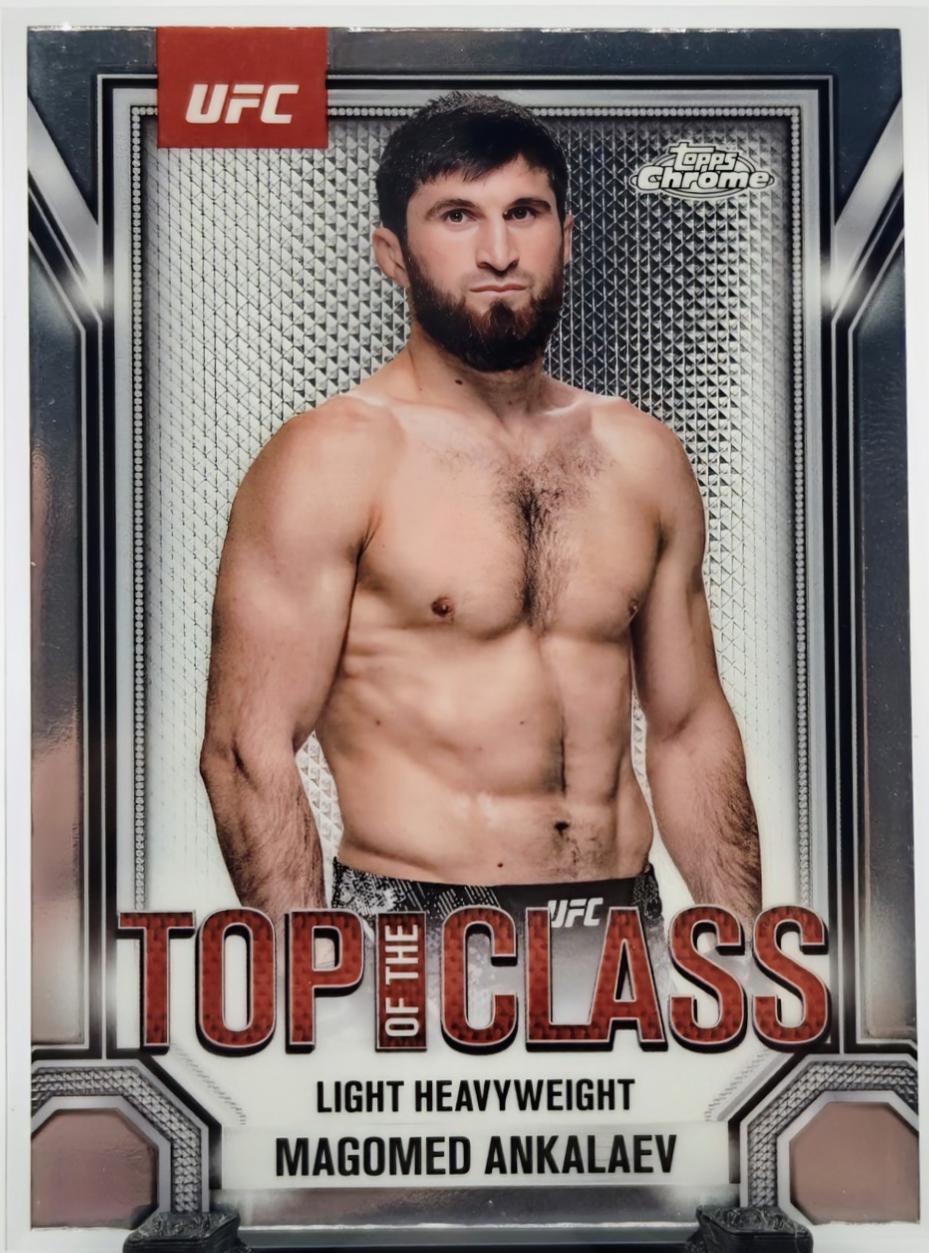 Magomed Ankalaev #TTC-2