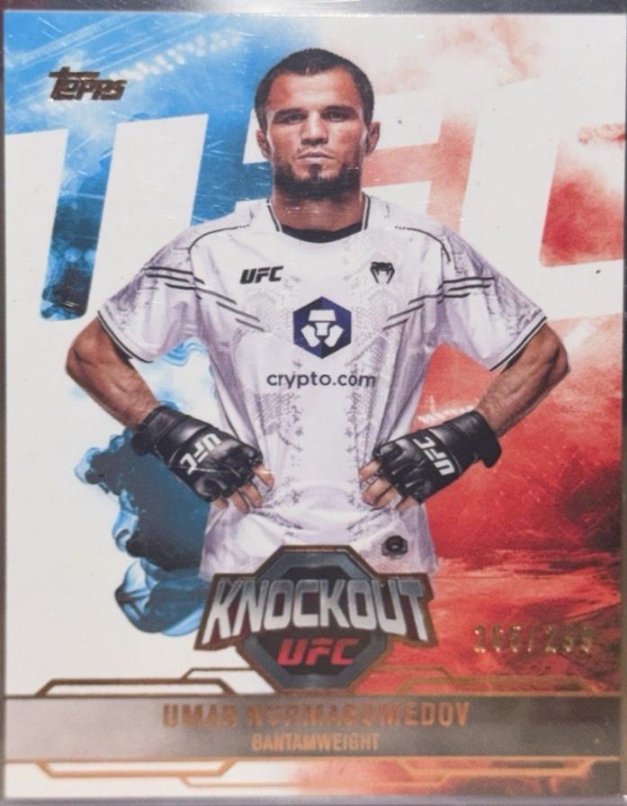 Umar Nurmagomedov [Bronze] #99