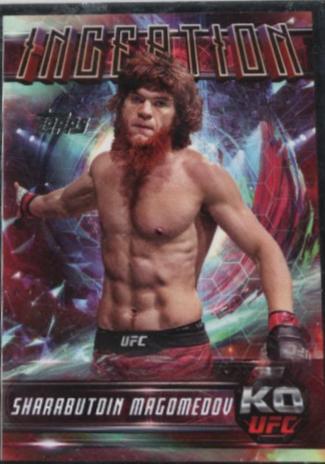 Sharabutdin Magomedov #IN-98
