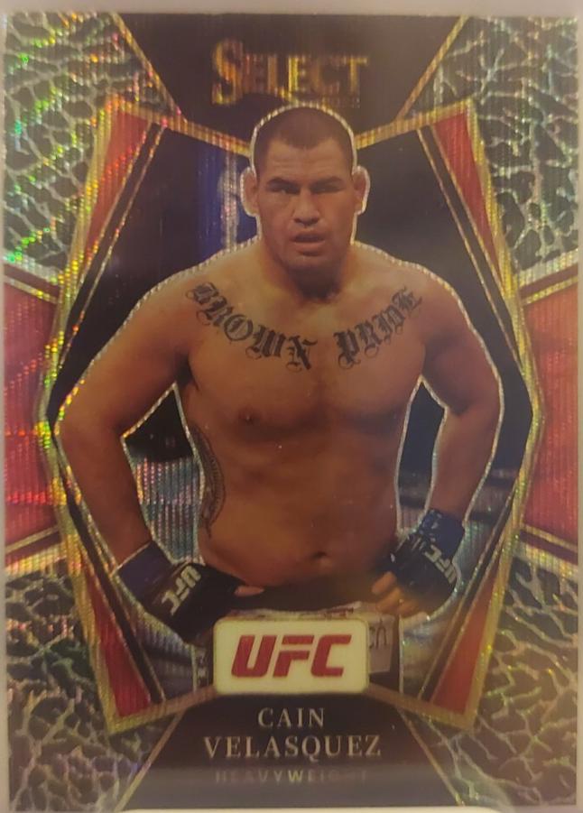 Cain Velasquez [Elephant] #158