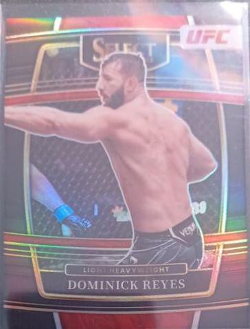 Dominick Reyes #48