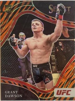 Grant Dawson [Tiger] #252