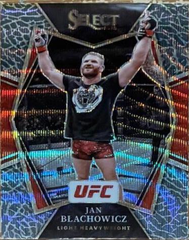 Jan Blachowicz [Elephant] #133