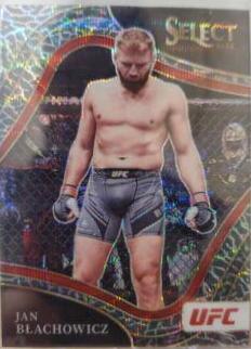 Jan Blachowicz [Elephant] #221
