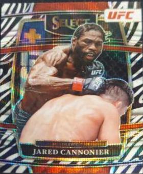 Jared Cannonier [Zebra] #8