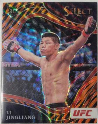Li Jingliang [Tiger] #282